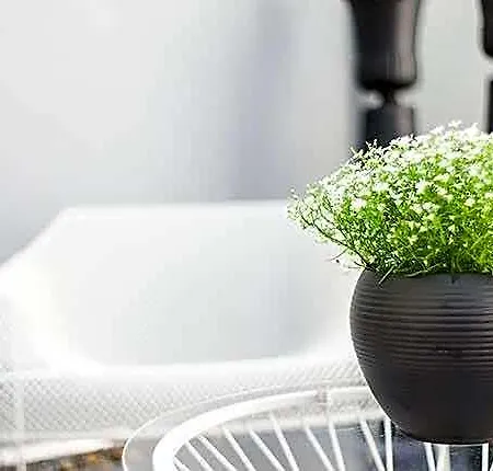 Designhotel Rosenbohm فندق أولدنبورغ