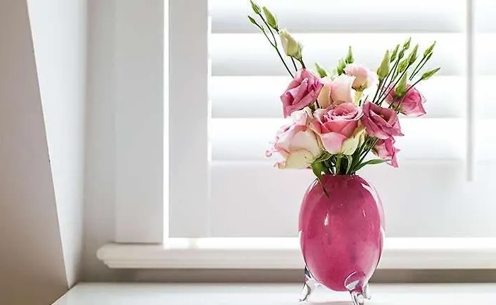 Designhotel Rosenbohm Ольденбург