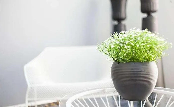 Отель Designhotel Rosenbohm Ольденбург